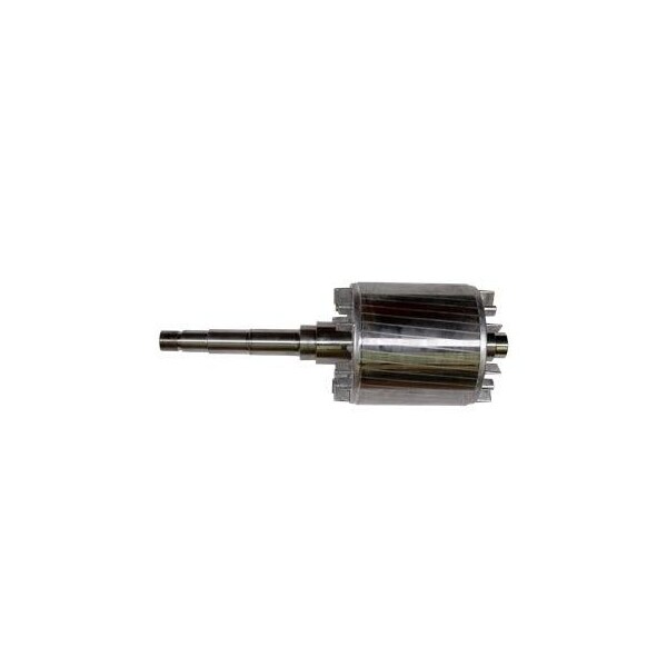 Pump Repair Parts- Spare, Rotor with shaft MDD160 8p 4.5kW.